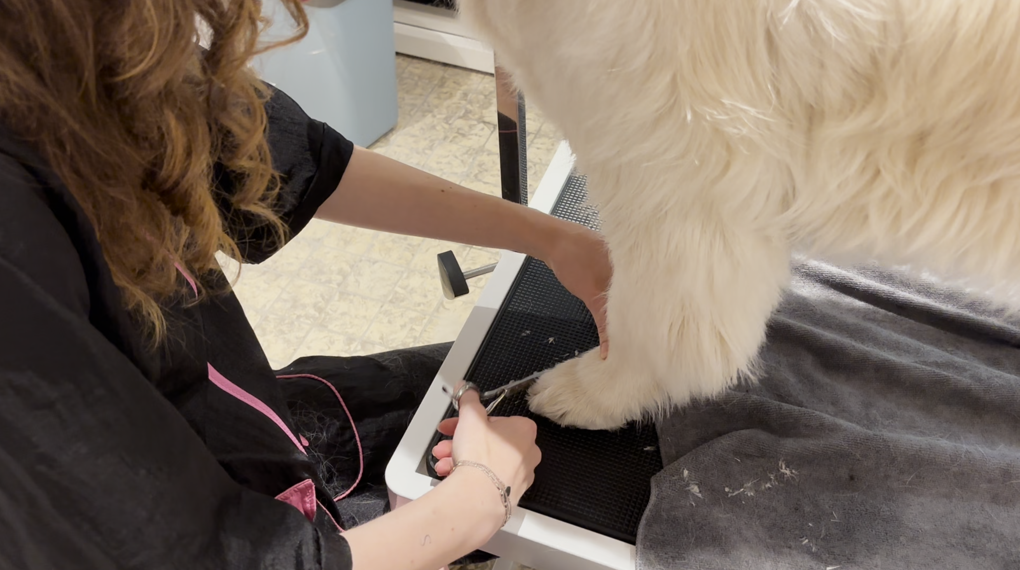 Volledige trimbeurt Hondentrimsalon Barendrecht