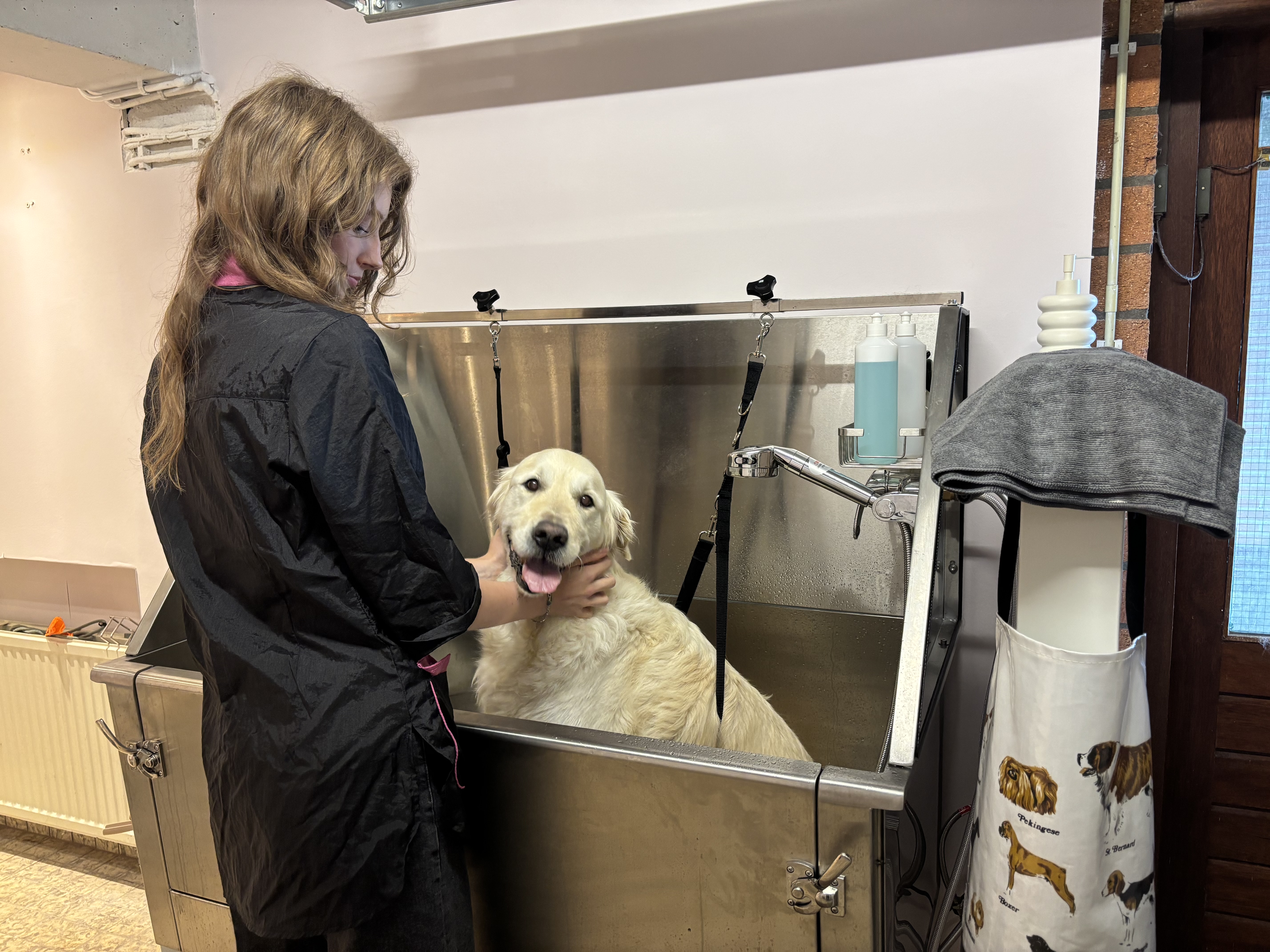 Wassen & drogen Hondentrimsalon Barendrecht